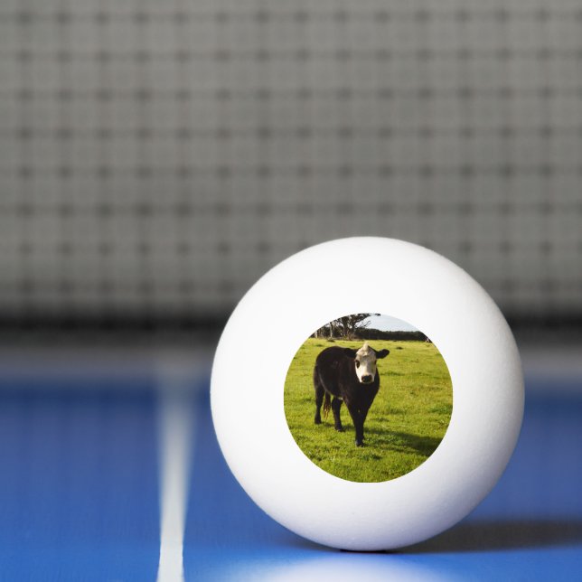 Balle De Ping Pong Vache Noire À Visage Blanc Et Mohawk, (Filet)