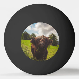 Balle De Ping Pong Vache noire pâturage vert champ soleil