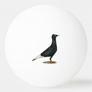 Balle De Ping Pong Vol Casquette noir Pigeon