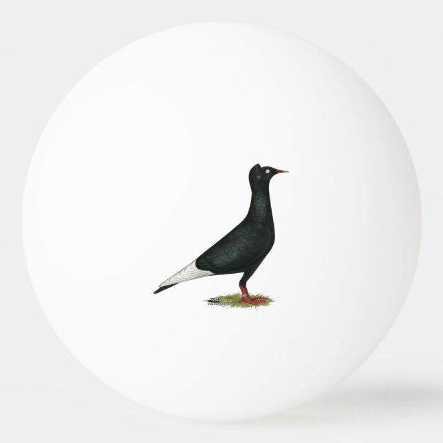 Balle De Ping Pong Vol Casquette noir Pigeon (Devant)