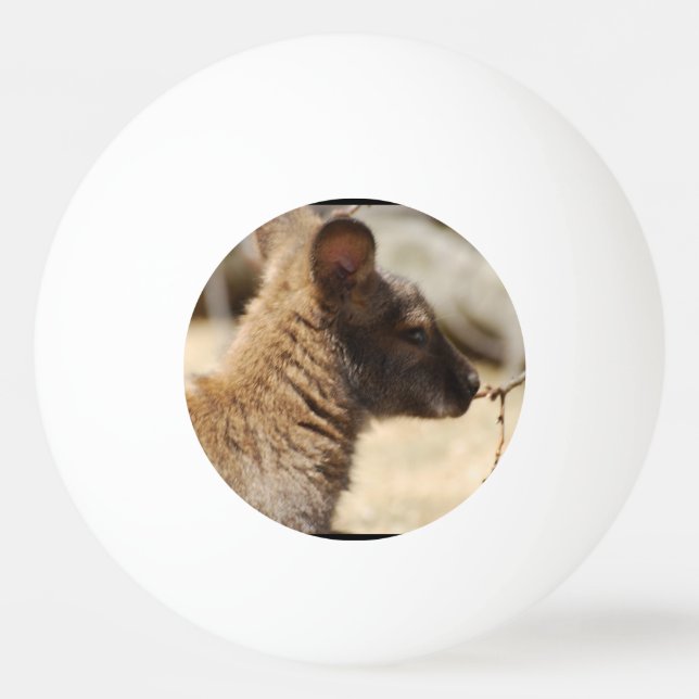 Balle De Ping Pong Wallaby doux (Devant)