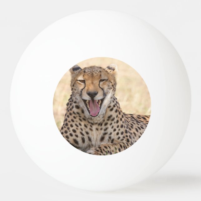 Balle De Ping Pong Yawning Cheetah (Devant)