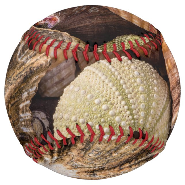 Balle De Softball Baseball Mélange Sea Shells (Devant)