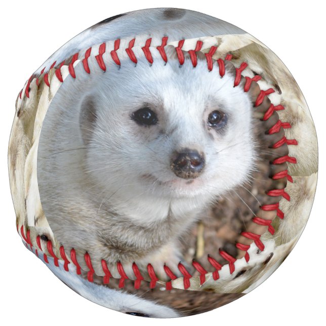 Balle De Softball Blanche Neige Le Meerkat, Softball (Devant droit)