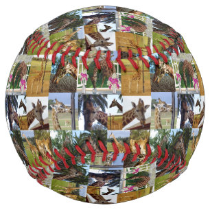 Balle De Softball Collage photo Giraffe, Softball