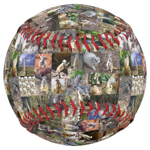 Balle De Softball Collage photo Meerkat, Softball