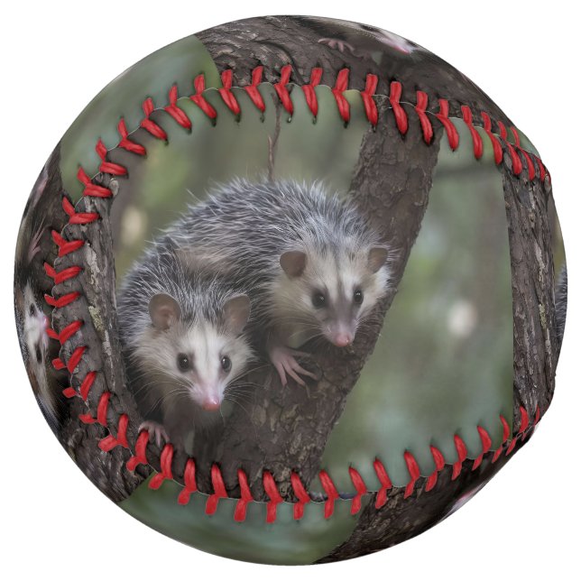 Balle De Softball Double problème dans la canopée : Possums jumeaux (Devant gauche)