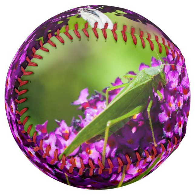 Balle De Softball énergie katydone (Devant gauche)