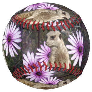 Balle De Softball Fleur Curieuse : Meerkat Parmi Les Marguerites Vio