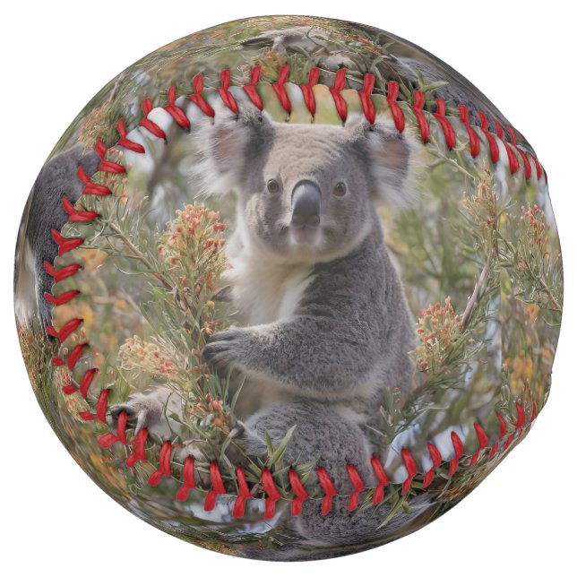 Balle De Softball Grevillea Koala Bear, (Devant gauche)