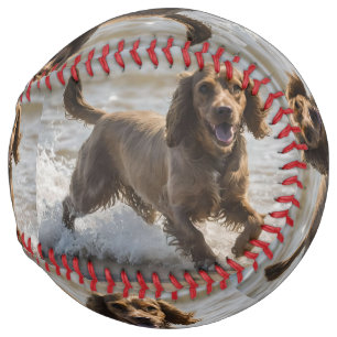 Balle De Softball Joyeuse journée de plage avec Cocker Spaniel,