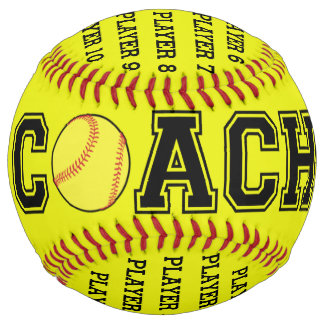 Balle entraîneur de softball personnalisée - saiso
