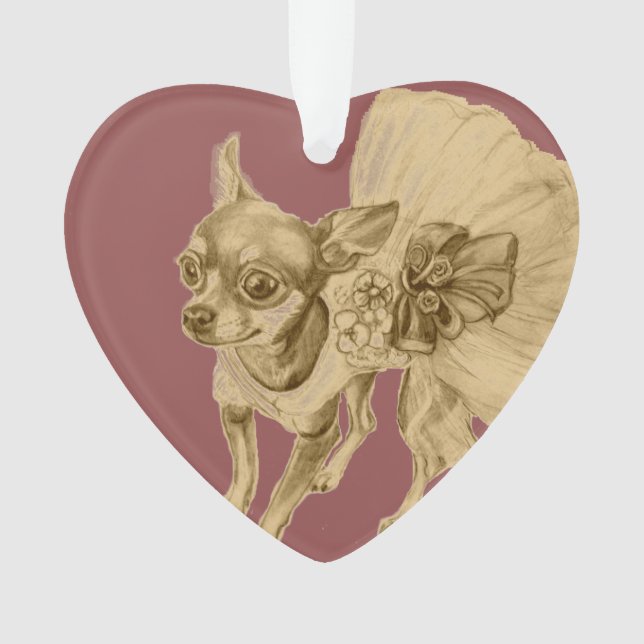 Ballerine de chiwawa par Carol Zeock (devant)