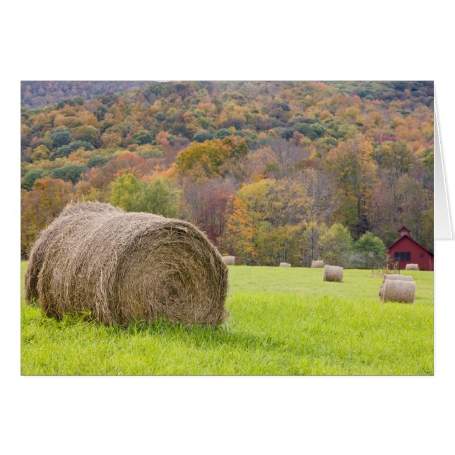 Balles de foin et feuillage d'automne à la ferme, (Devant horizontal)