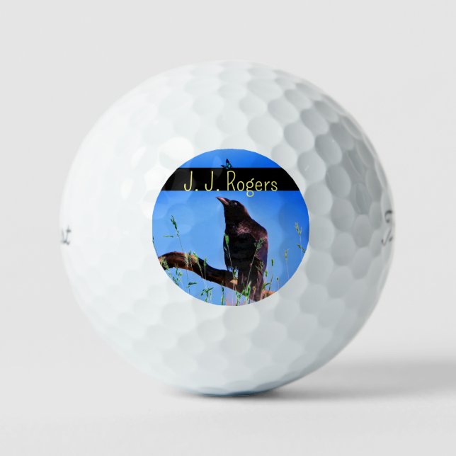 Balles De Golf (12 Pack) Oiseau de Corbeau Faune Personnalisé (Recto)
