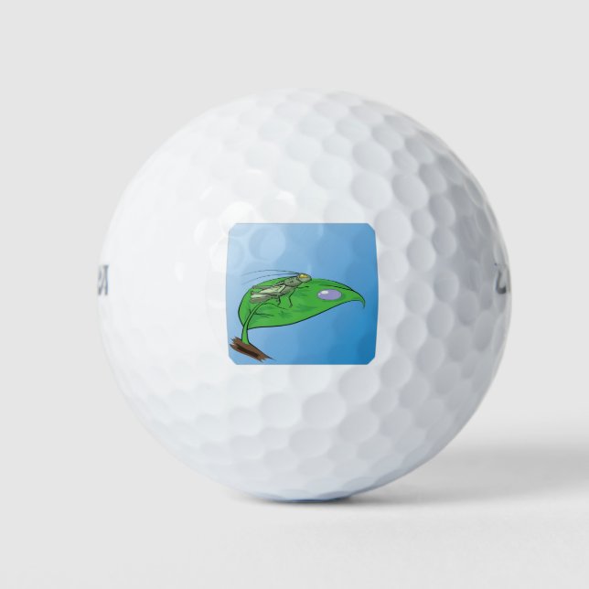 Balles De Golf 31sauterelles (Devant)