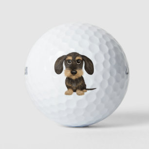Balles De Golf À poils durs Dachshund Teckel de chien de carica