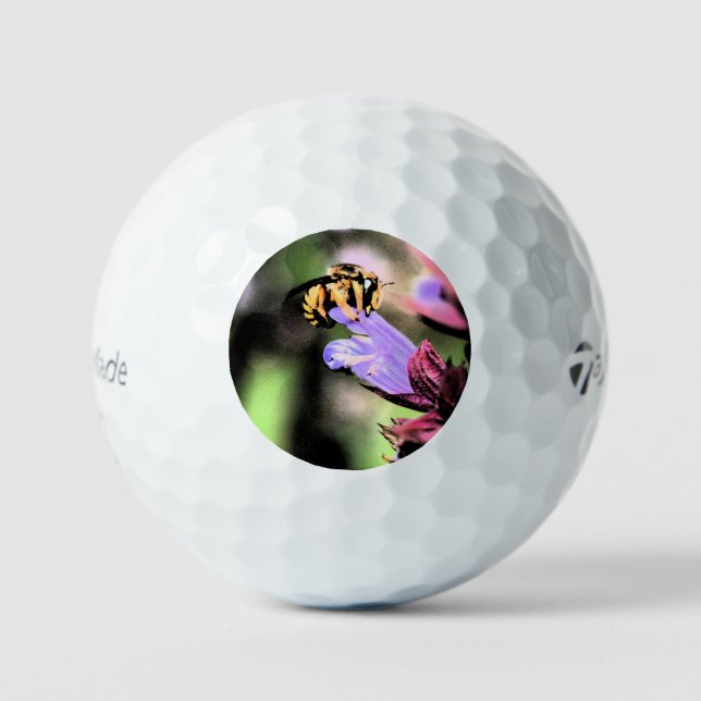 Balles De Golf Abeille et fleur tmtp5 gbcna (Recto)
