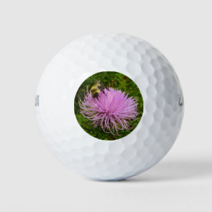 Balles De Golf Abeille sur Fleur de Chardon Nature