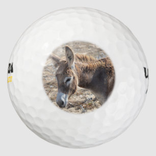 Balles De Golf Adorable âne