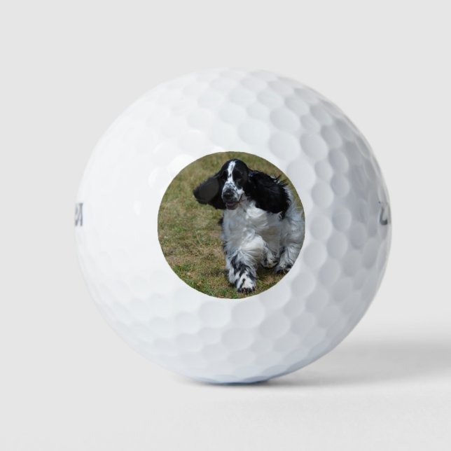 Balles De Golf Adorable Anglais Cocker Spaniel (Devant)
