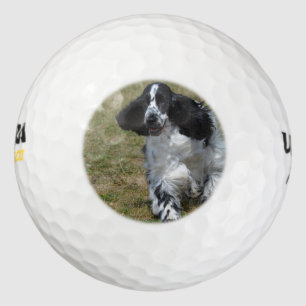 Balles De Golf Adorable Anglais Cocker Spaniel