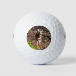 Balles De Golf Adorable Cerf dans les Bois Photographie de la nat