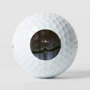 Balles De Golf Aigle de Bald en vol