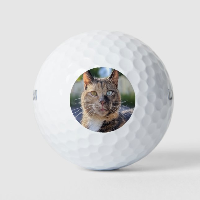 Balles De Golf Ajouter une Personnaliser photo de chat (Devant)