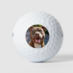 Balles De Golf Ajouter une Personnaliser photo Pit Bull