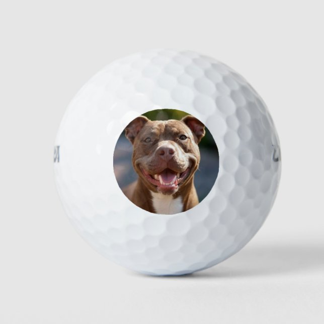 Balles De Golf Ajouter une Personnaliser photo Pit Bull (Devant)