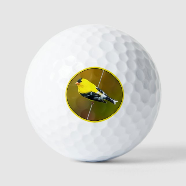 Balles De Golf American Goldfinch - Photo originale (Recto)