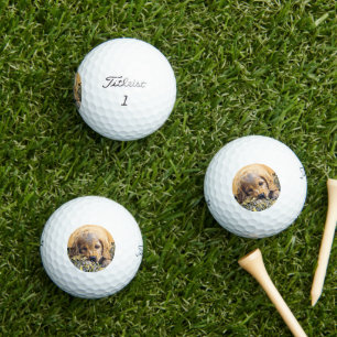 Balles De Golf AnimalMix_Dog_005