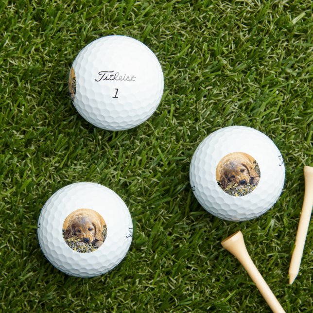 Balles De Golf AnimalMix_Dog_005 (Herbe in situ)