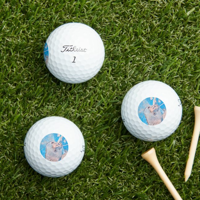 Balles De Golf AnimalMix_Sloth_001 (Herbe in situ)