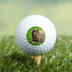 Balles De Golf Animaux de Capybara Fun Personnalisés