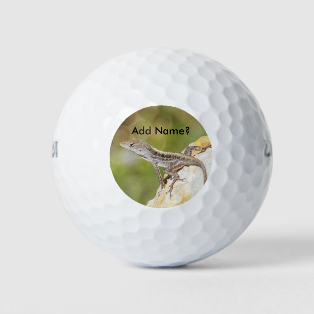 Balles De Golf Anole Lizard Photo Golf Balls (Devant)