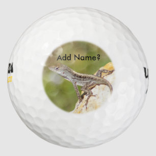Balles De Golf Anole Lizard Photo Golf Balls