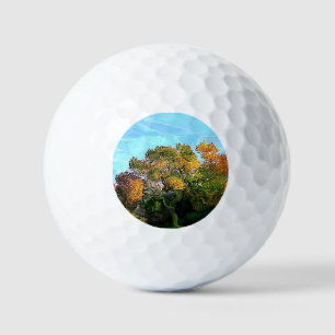BALLES DE GOLF ARBRES D'AUTOMNE