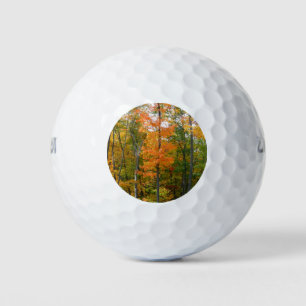 Balles De Golf Automne Maple Trees Automne Photographie de la nat
