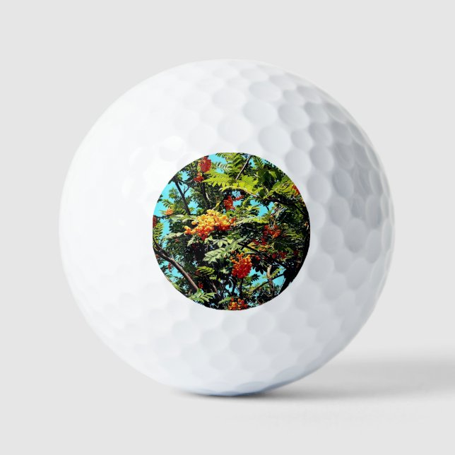 Balles De Golf Baies d'orange (Recto)