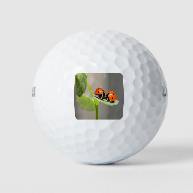 Balles De Golf Baiser Ladybugs (Devant)