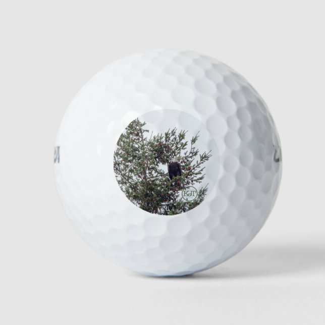 Balles De Golf Bald Eagle P2825 (Devant)