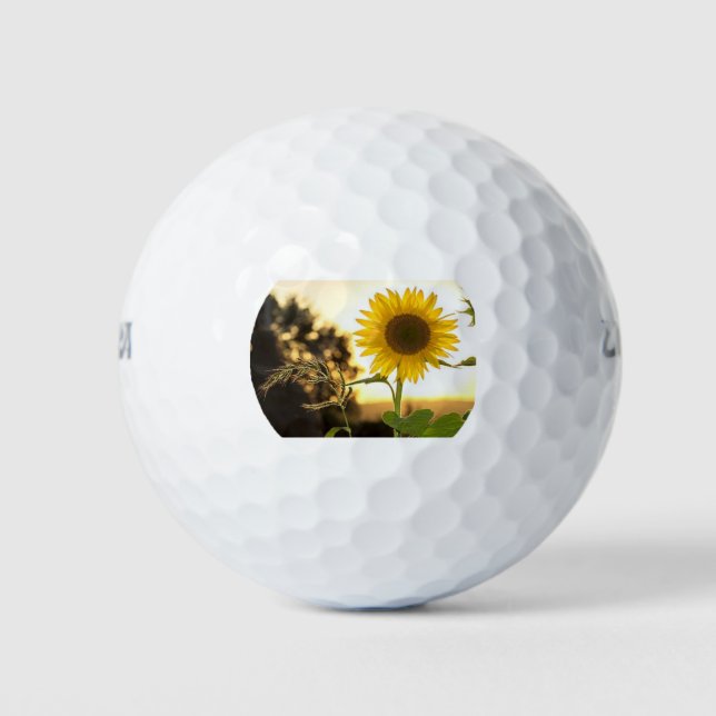 BALLES DE GOLF ***BALLE DE GOLF DE SUNFLOWWER*** (Devant)