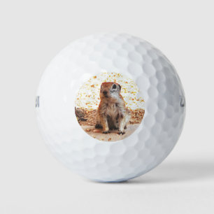 Balles De Golf Ballons de golf d'écureuil de terrain Wilson Ultra