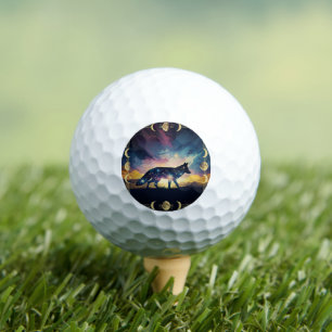 Balles De Golf Ballons de golf Magic Fox