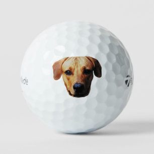 Balles De Golf Ballons De Golf Personnalisés Avec Visage De Chien