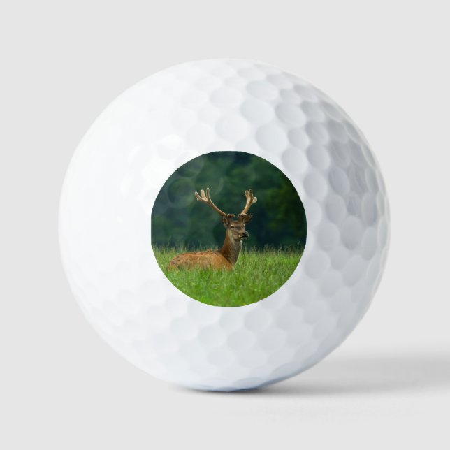 Balles De Golf Barasingha cerf (Recto)