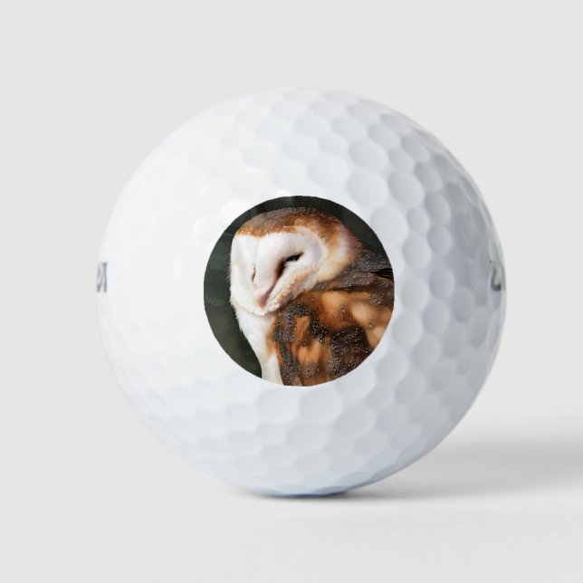 BALLES DE GOLF BARN OWL (Devant)