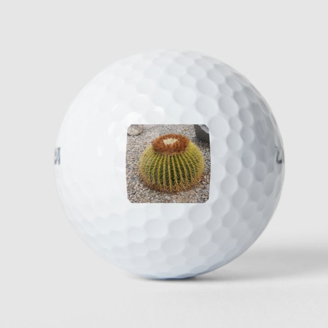 Balles De Golf Barrel Cactus (Devant)